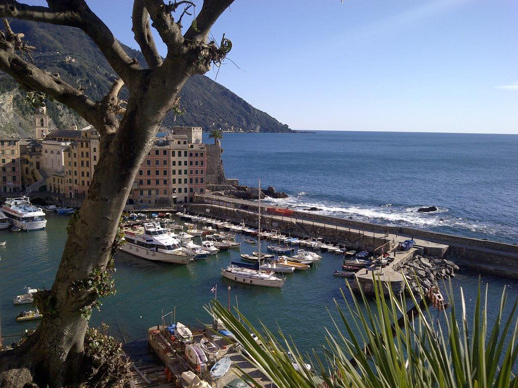 Al Piccolo Scoglio - & Breakfast * Camogli